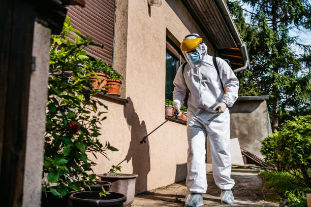 Professional Pest Control in Shady Cove, OR